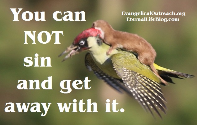 Eternal Life Blog